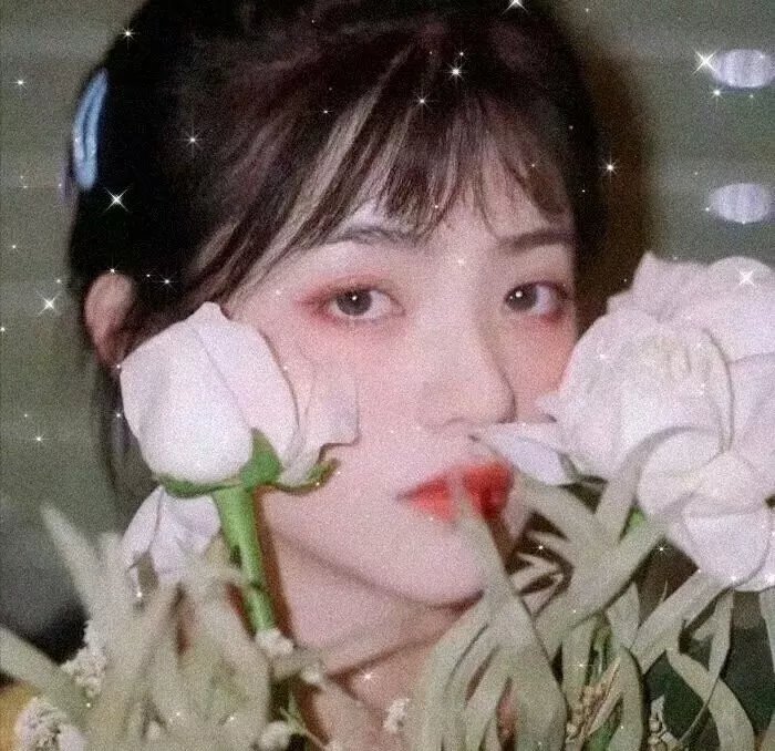 辉夜姬物语